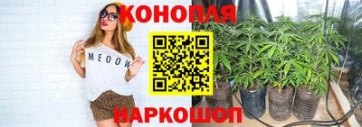 apvp Можайск
