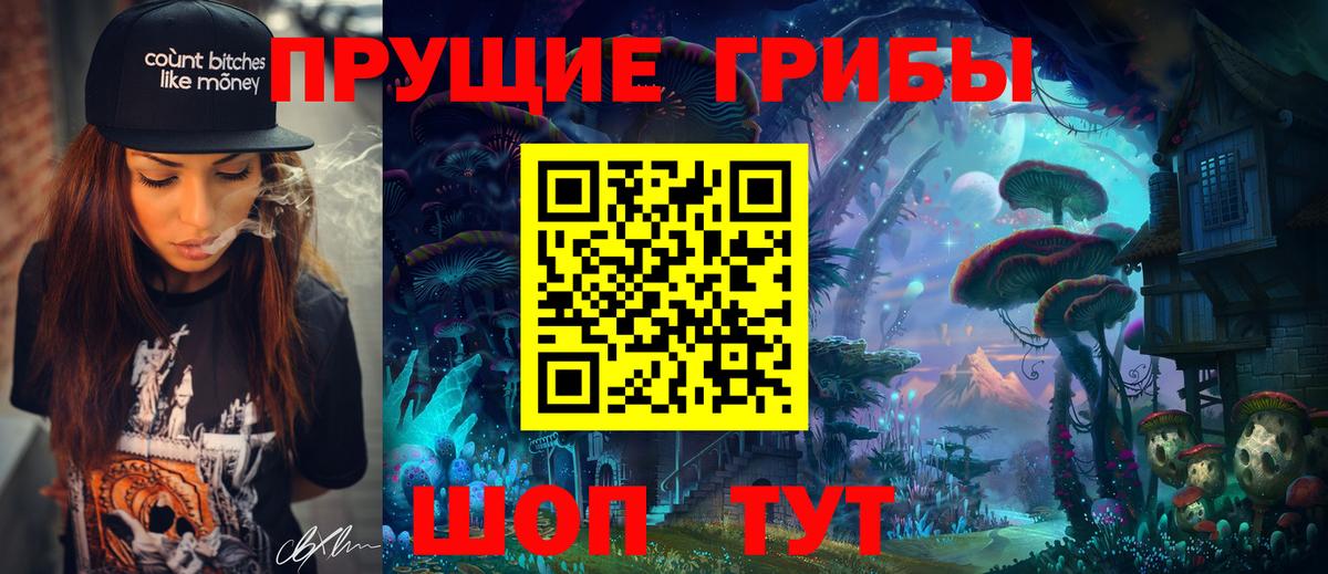Псилоцибиновые грибы Psilocybe Донской