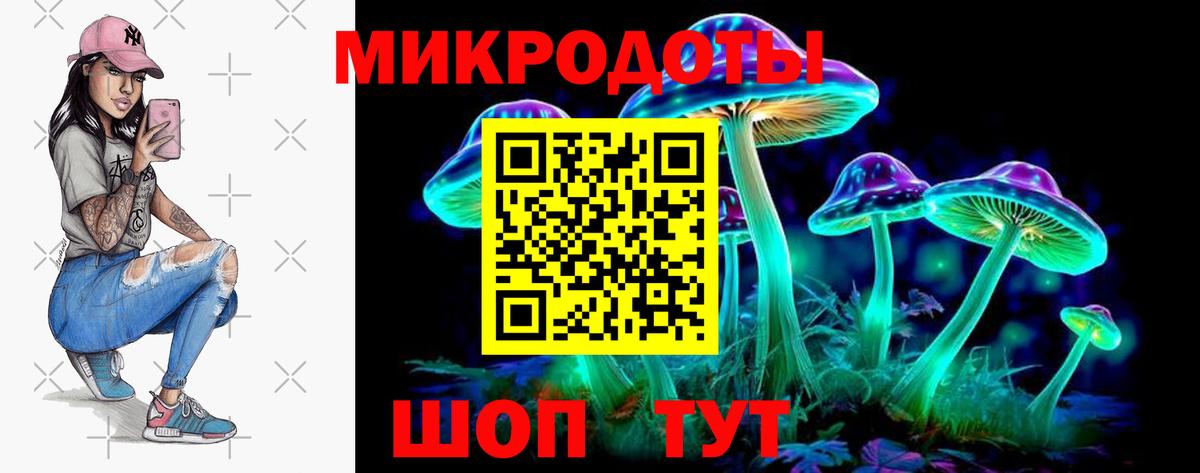 Псилоцибиновые грибы Psilocybe  Вход с VPN  как найти закладки  Донской  Псилоцибиновые грибы прущие грибы 