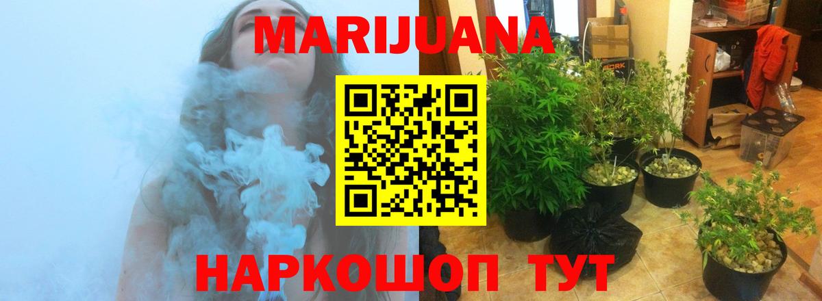 Бошки Шишки семена Донской